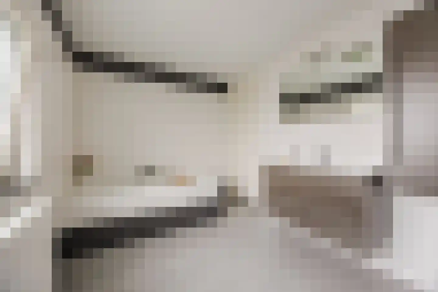 Hofstraat 9 Hoeven thumbnail 51