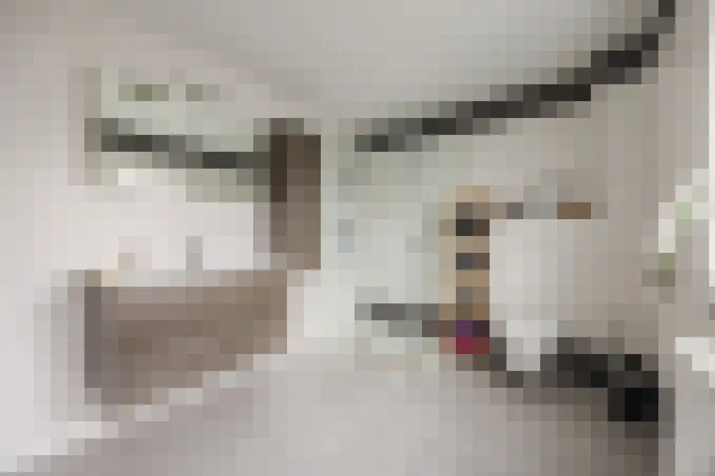 Hofstraat 9 Hoeven thumbnail 53