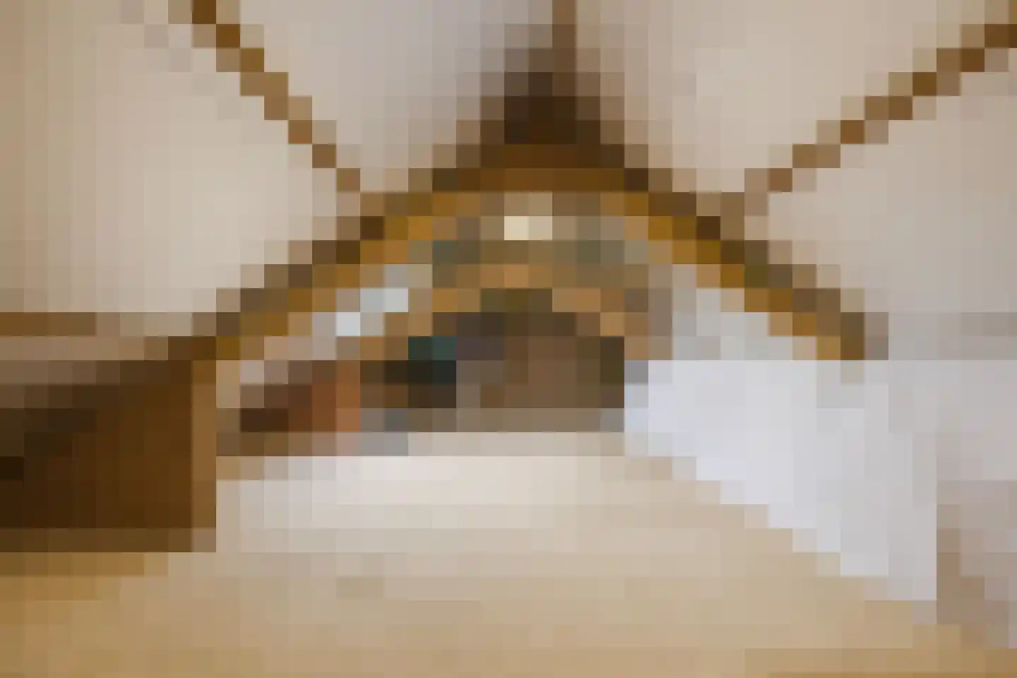 Hofstraat 9 Hoeven thumbnail 56
