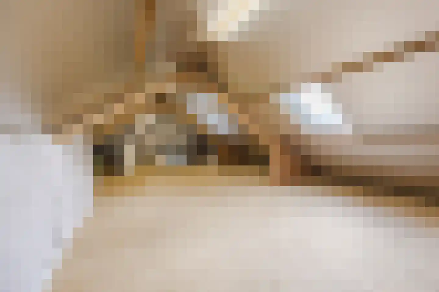 Hofstraat 9 Hoeven thumbnail 57