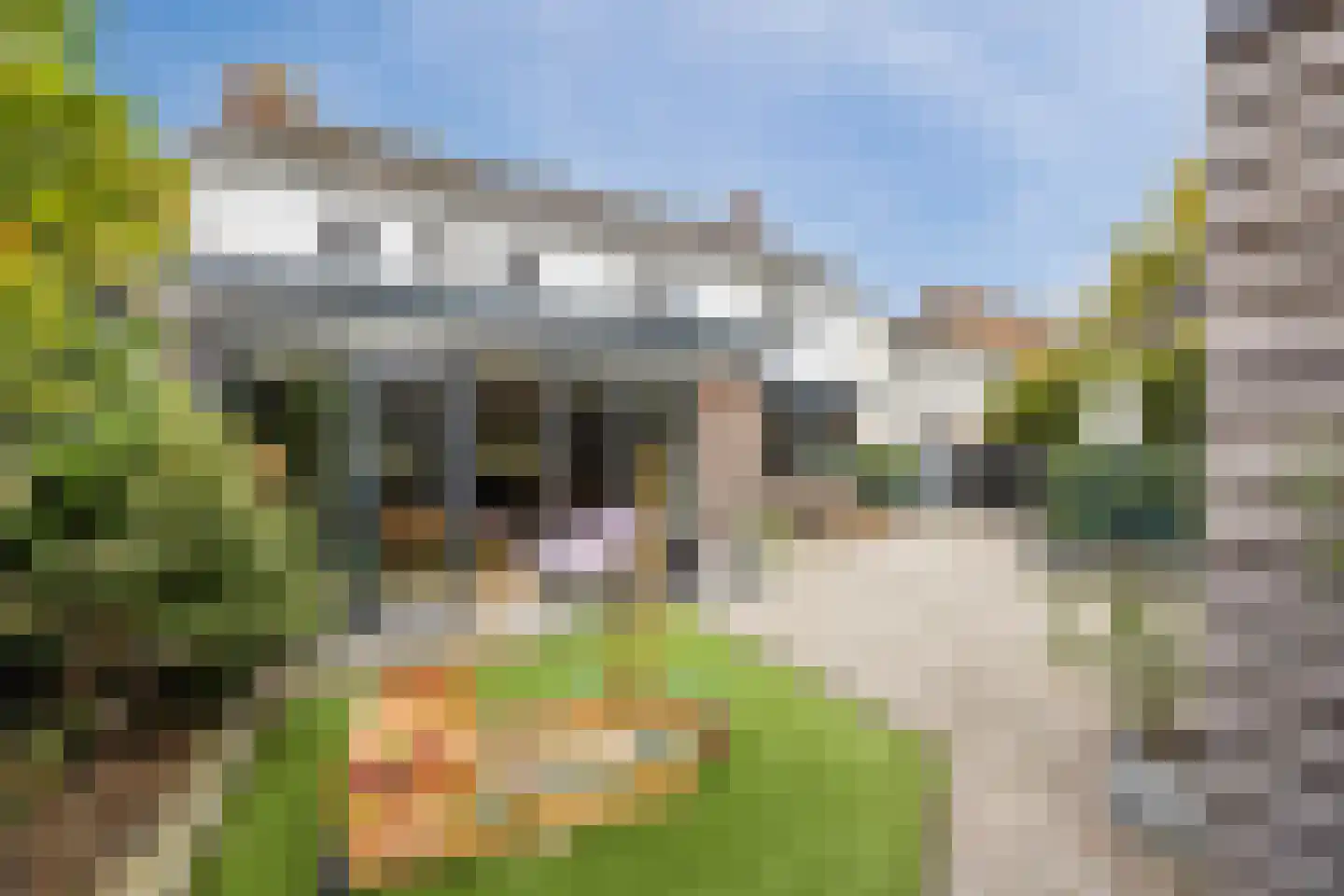 Hofstraat 9 Hoeven thumbnail 65