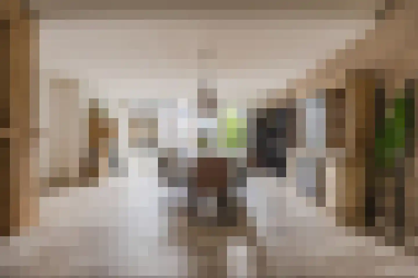 Hofstraat 9 Hoeven thumbnail 7