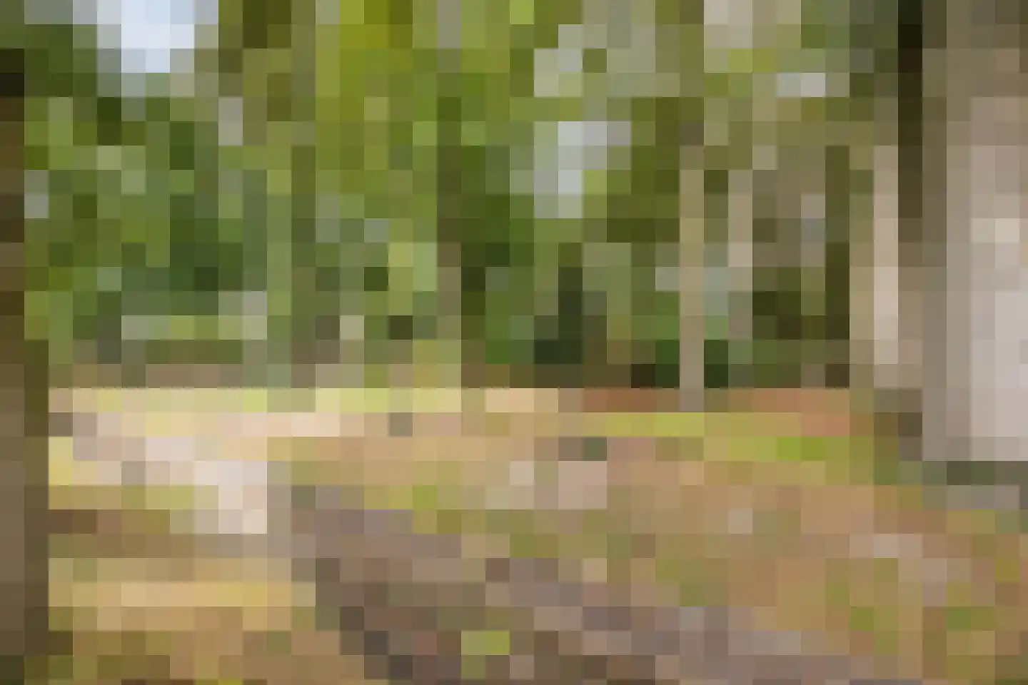 Hofstraat 9 Hoeven thumbnail 75