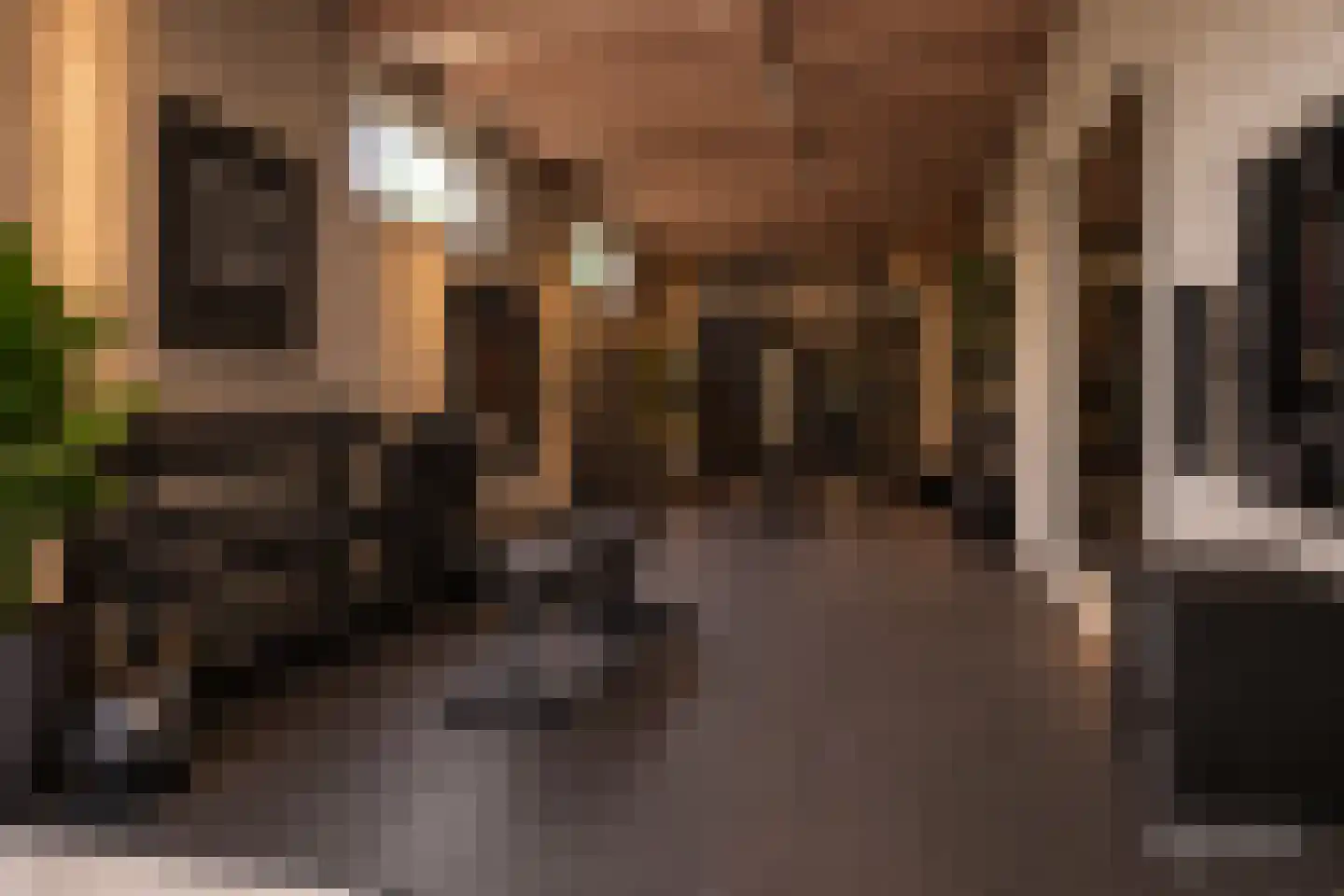 Hofstraat 9 Hoeven thumbnail 8