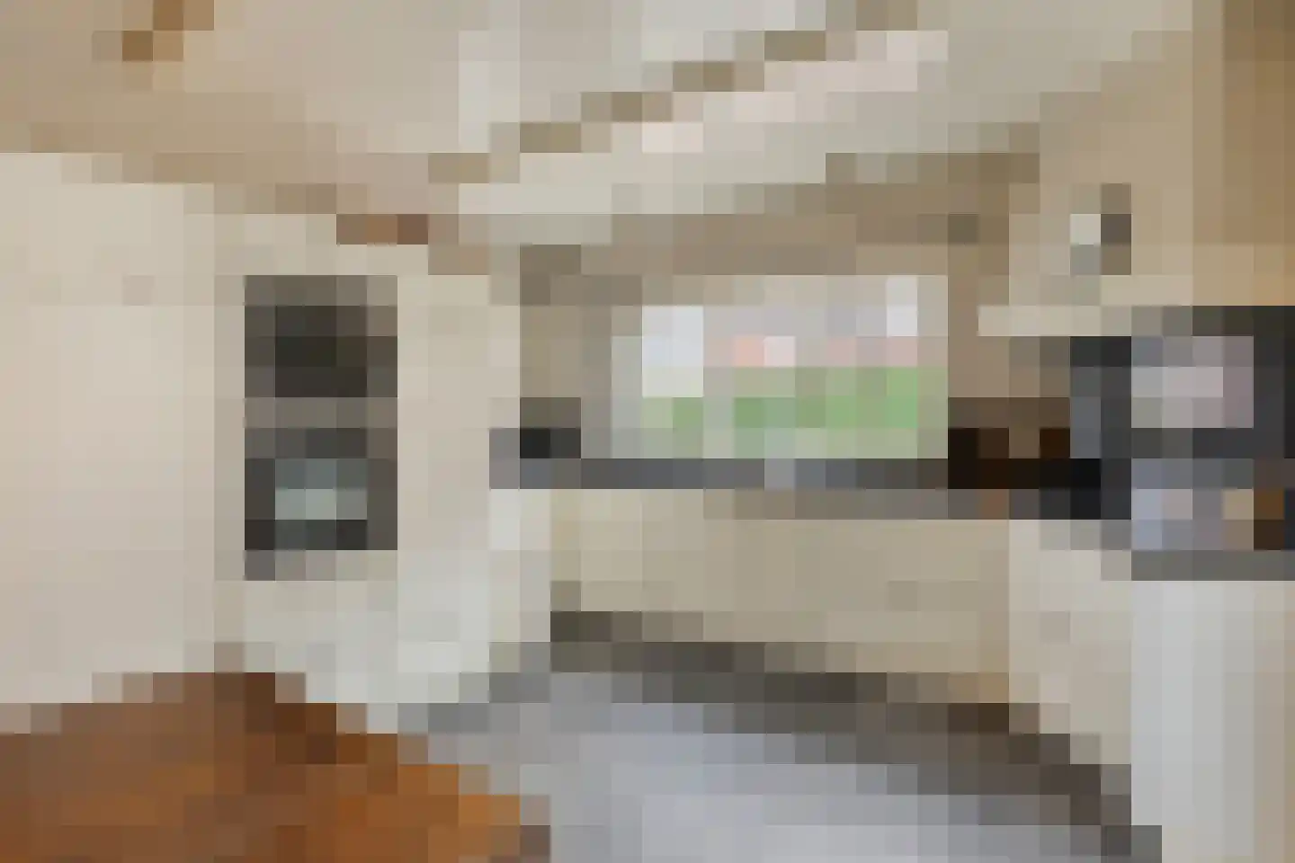 Hofstraat 9 Maasbracht thumbnail 11