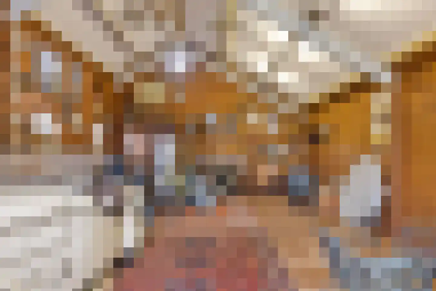 Hofstraat 9 Maasbracht thumbnail 47