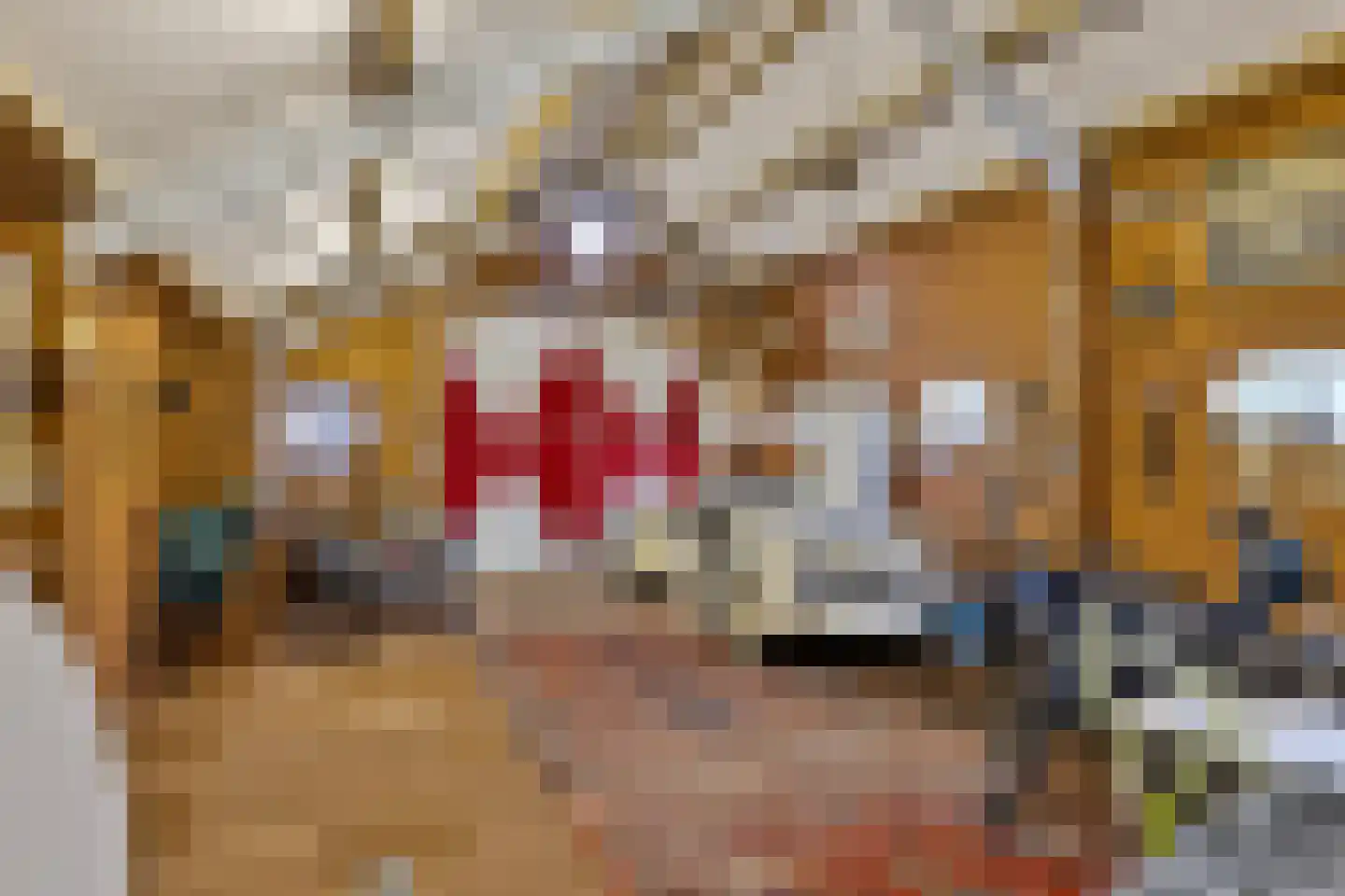 Hofstraat 9 Maasbracht thumbnail 48