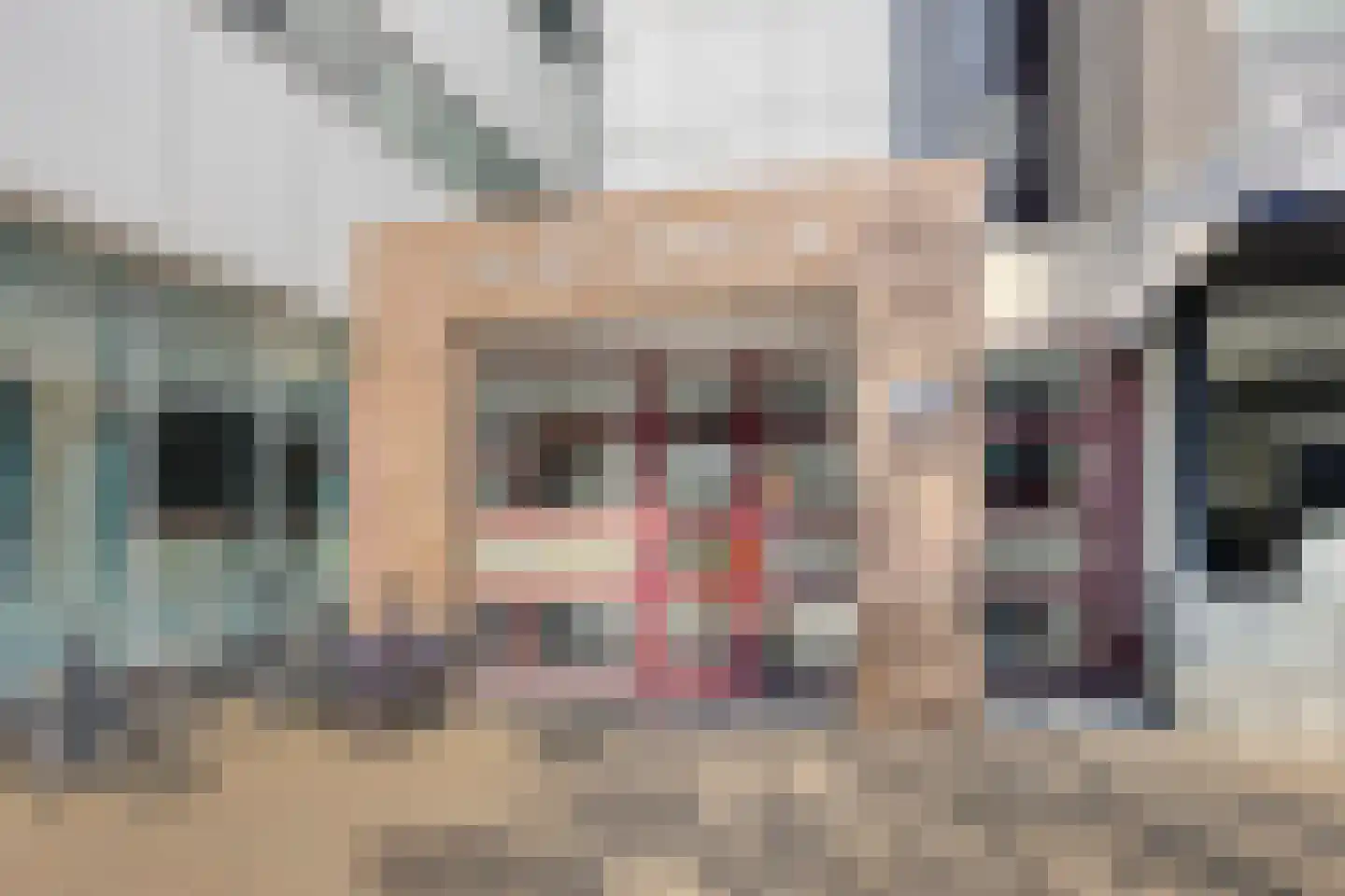 Hofstraat 98 Apeldoorn thumbnail 23
