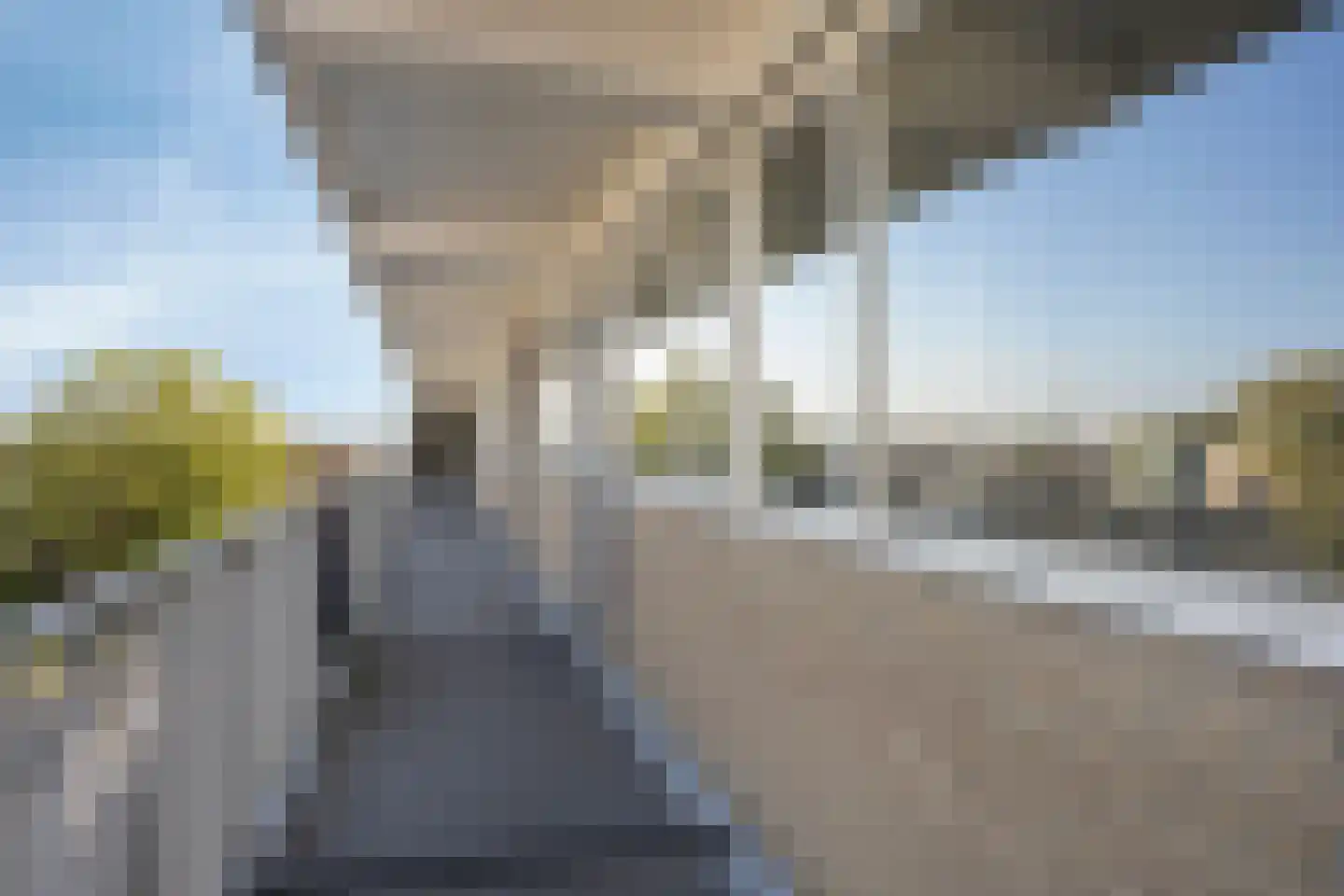Hofstraat 98 Apeldoorn thumbnail 26