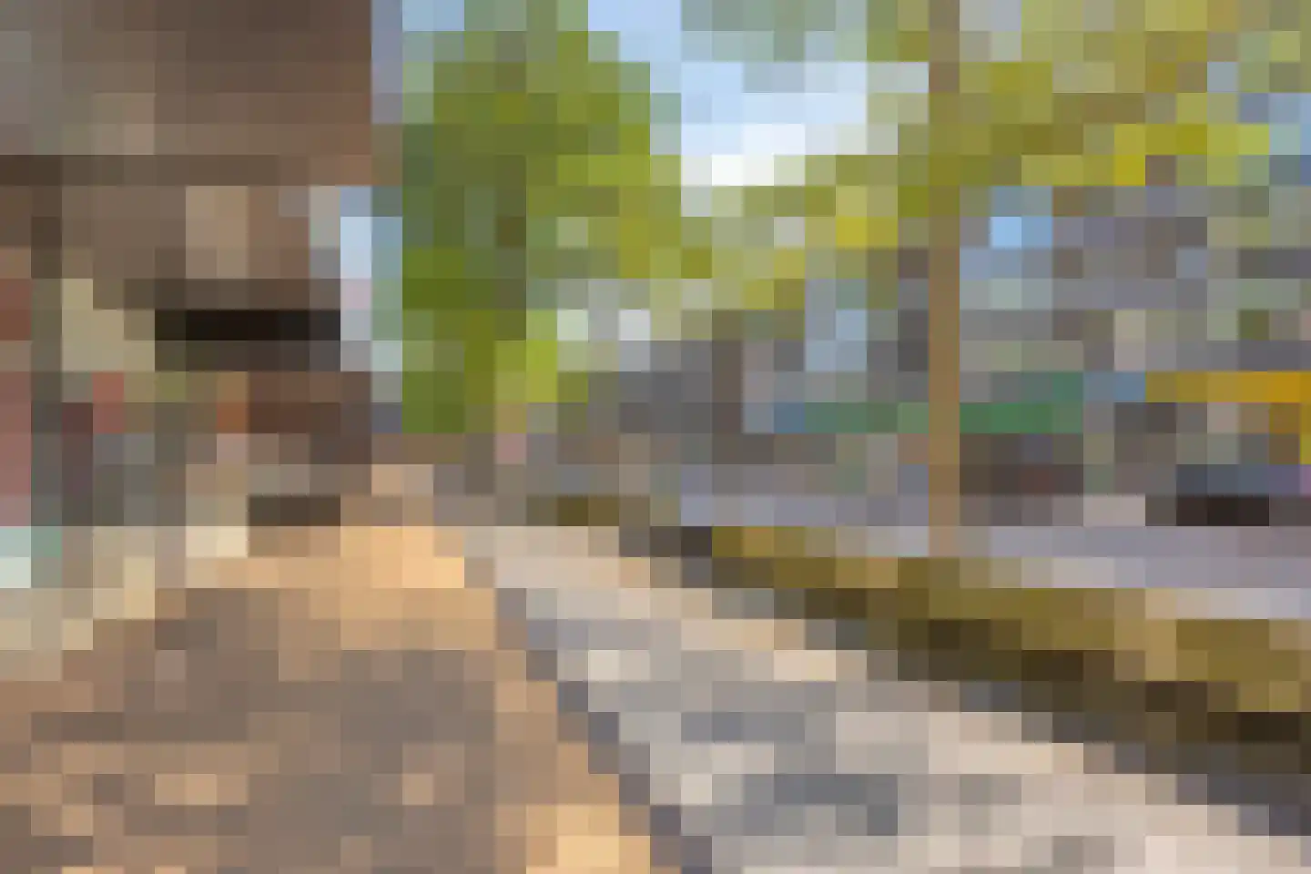 Hofstraat 98 Apeldoorn thumbnail 30