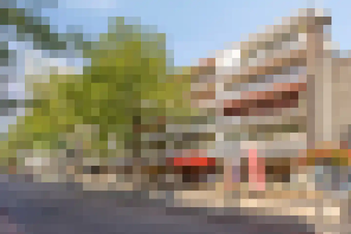 Hofstraat 98 Apeldoorn thumbnail 34