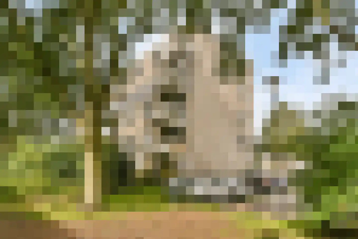Hofstraweg 204 Sassenheim thumbnail 18
