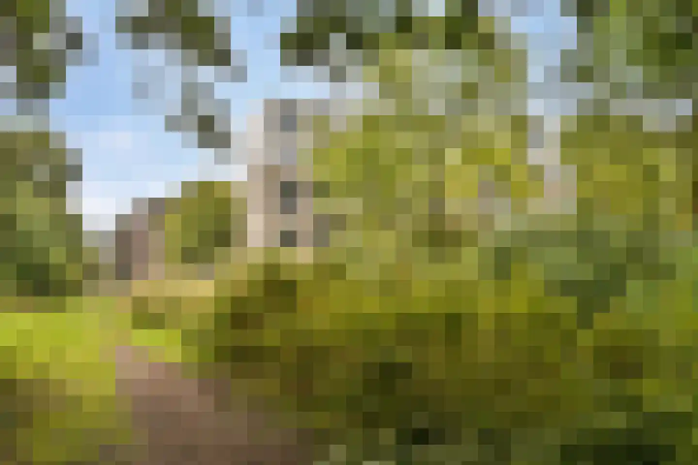 Hofstraweg 204 Sassenheim thumbnail 21