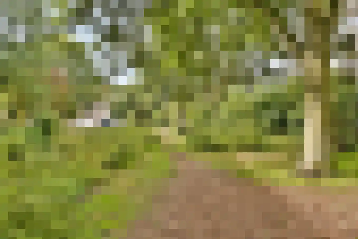 Hofstraweg 204 Sassenheim thumbnail 22