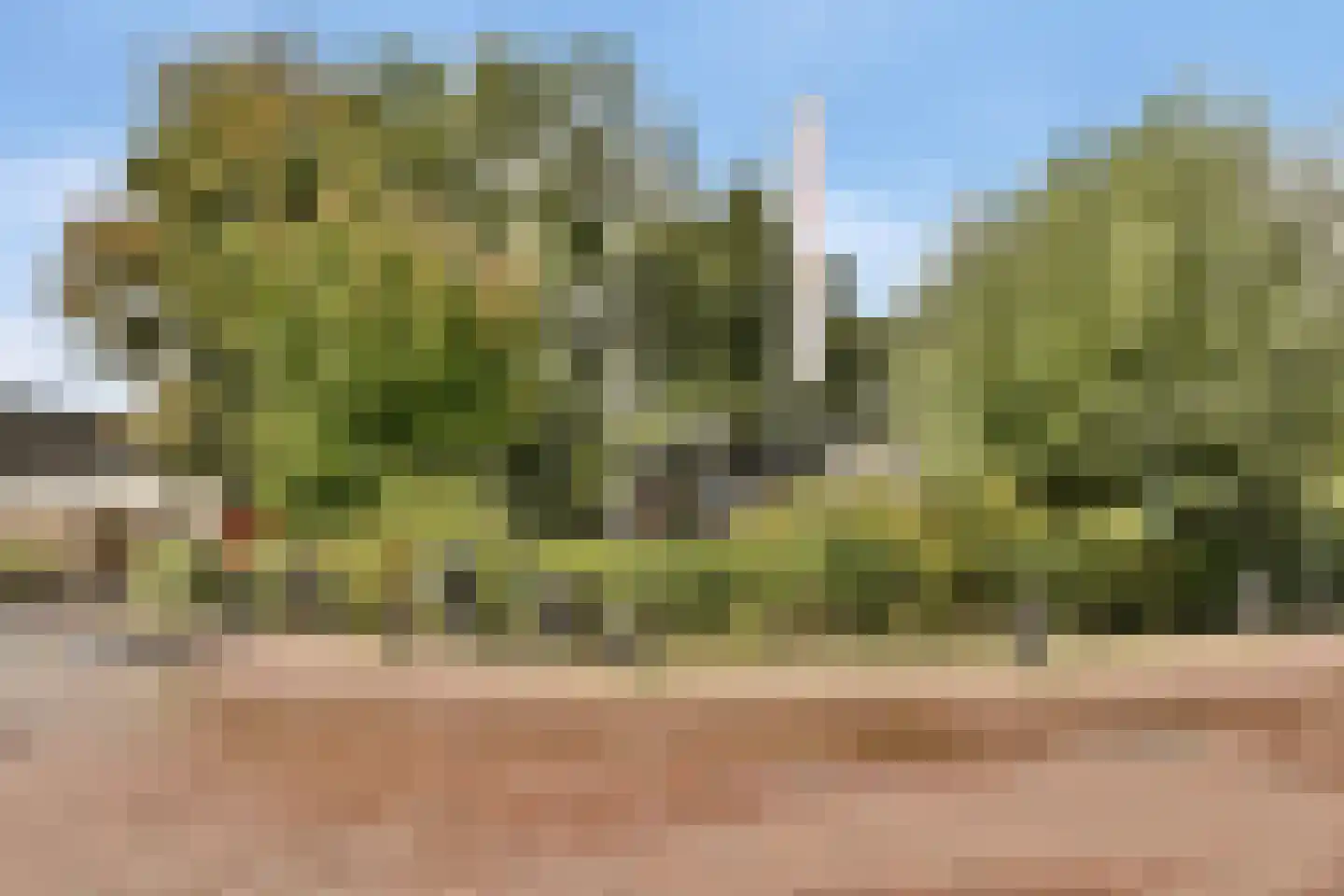 Hofstraweg 204 Sassenheim thumbnail 23