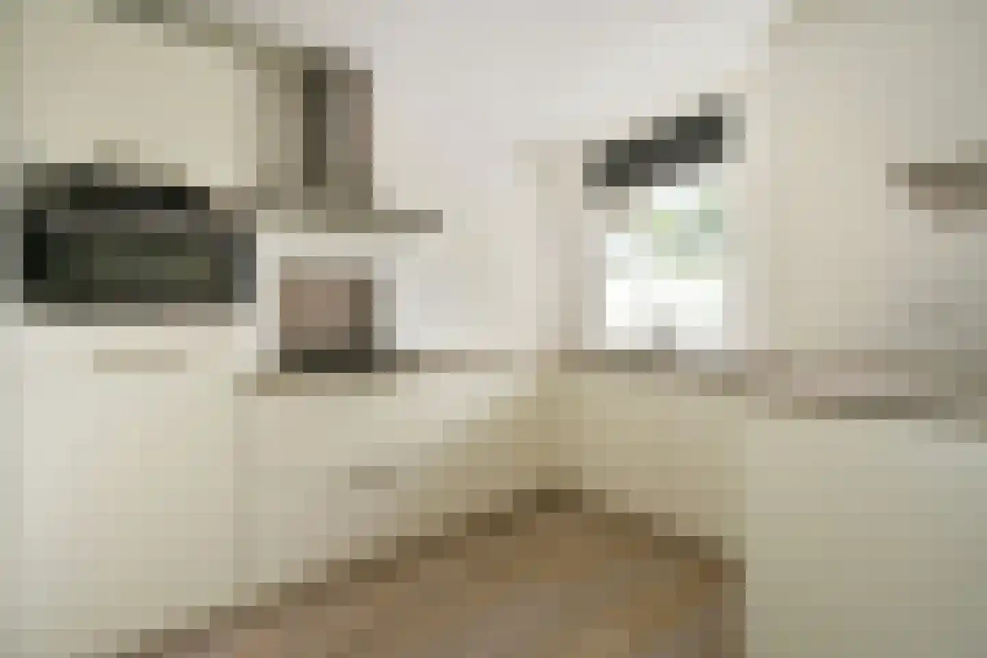 Hofstraweg 204 Sassenheim thumbnail 4