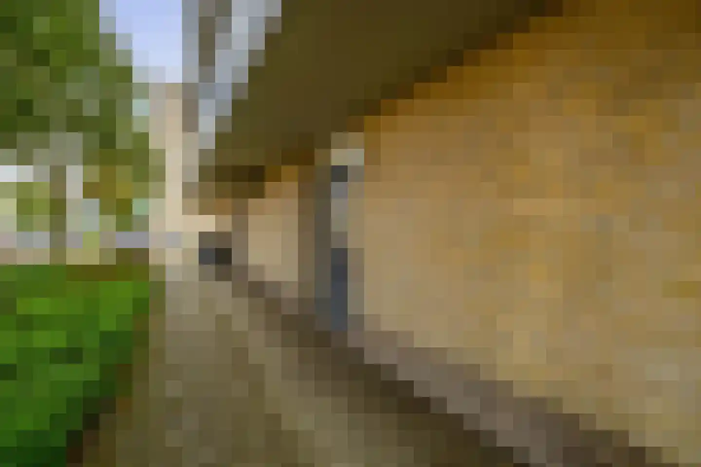 Hofstraweg 312 Sassenheim thumbnail 34
