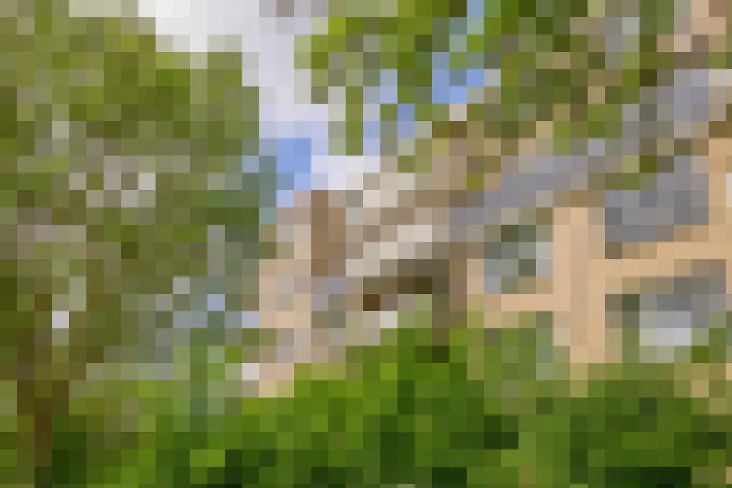 Hofstraweg 312 Sassenheim thumbnail 4