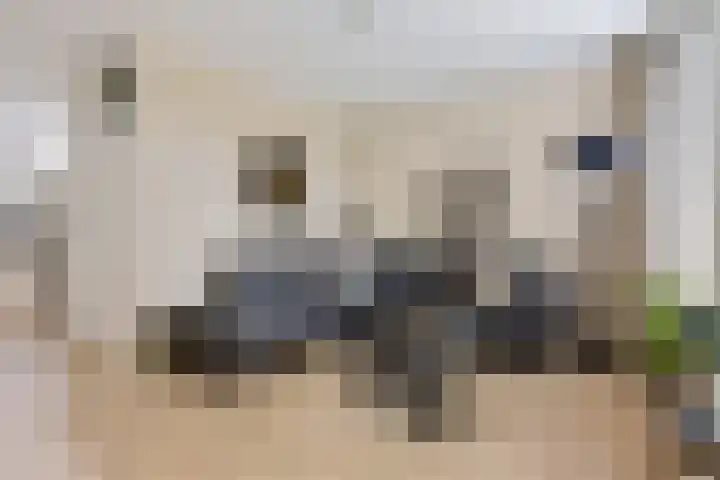 Hofstukken 1 Assen thumbnail 10