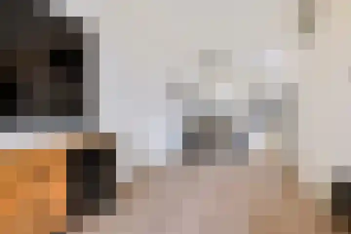 Hofstukken 1 Assen thumbnail 11