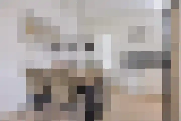Hofstukken 1 Assen thumbnail 12