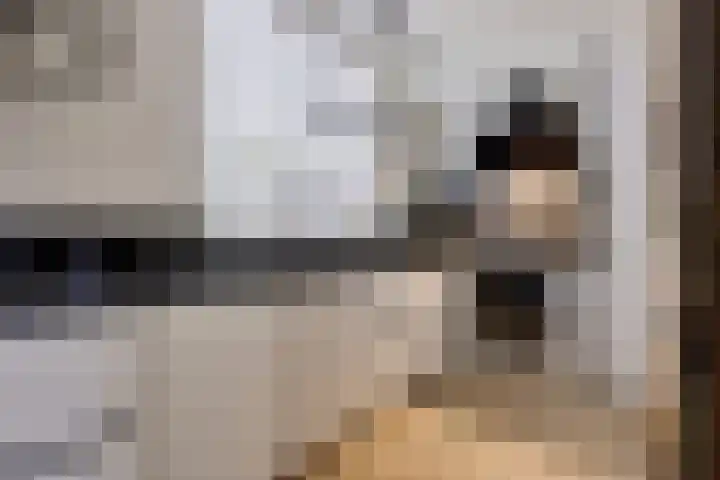 Hofstukken 1 Assen thumbnail 14