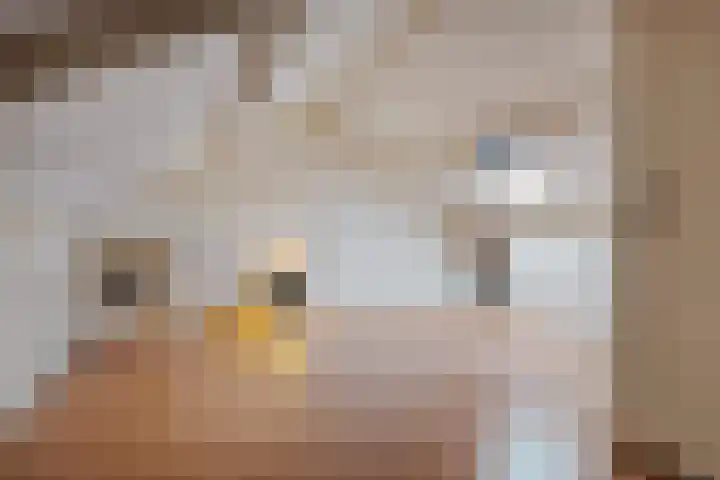 Hofstukken 1 Assen thumbnail 26