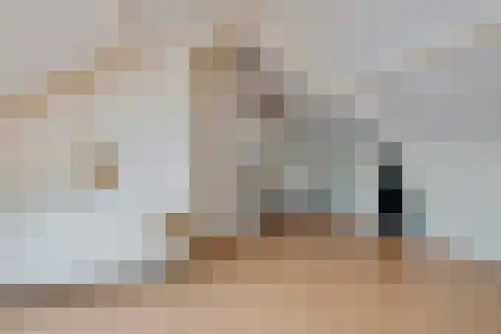 Hofstukken 1 Assen thumbnail 27