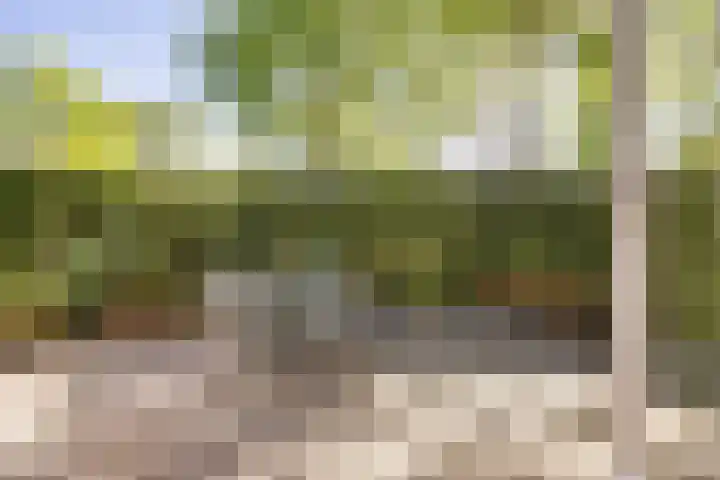 Hofstukken 1 Assen thumbnail 28