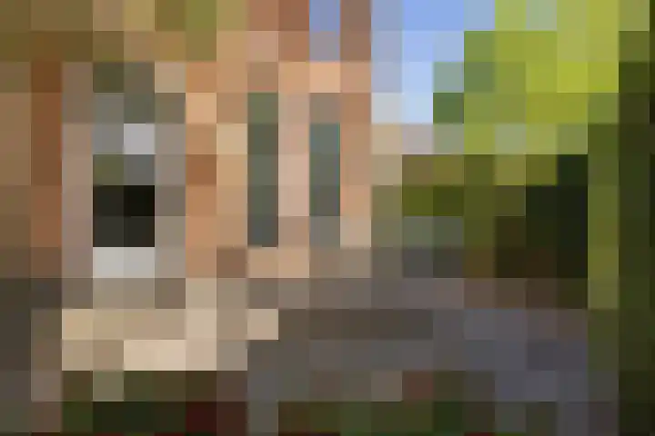 Hofstukken 1 Assen thumbnail 29