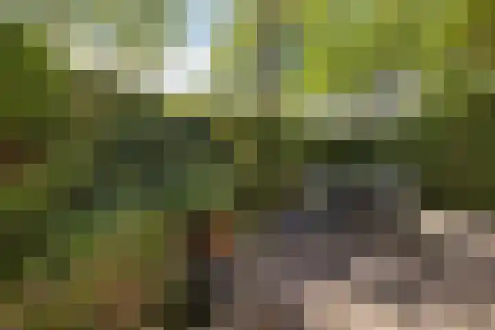 Hofstukken 1 Assen thumbnail 31