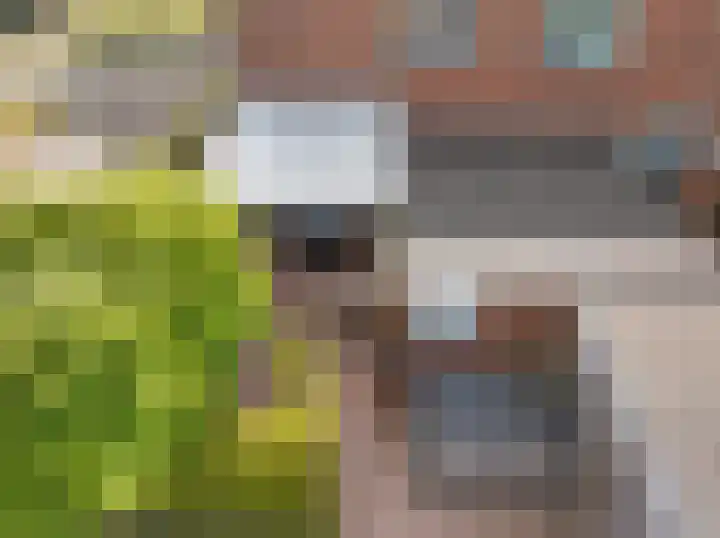 Hofstukken 1 Assen thumbnail 32