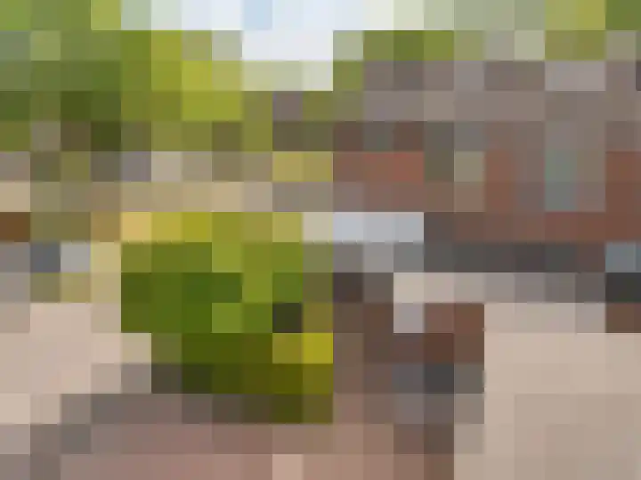 Hofstukken 1 Assen thumbnail 36