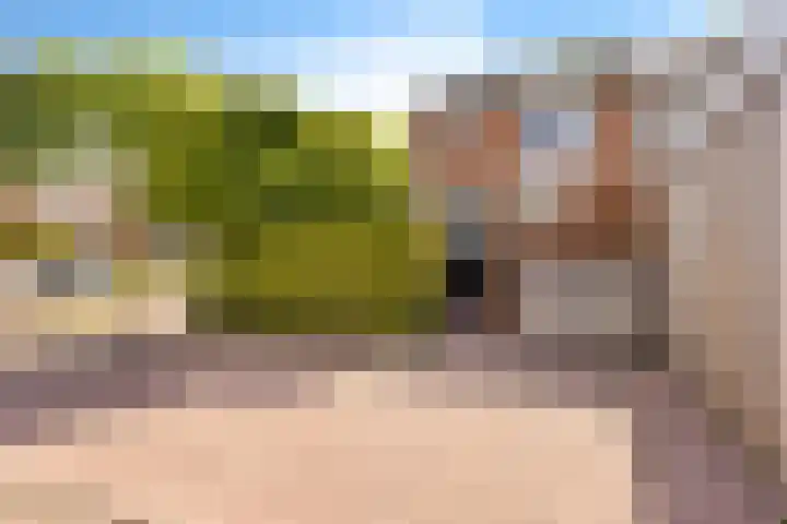 Hofstukken 1 Assen thumbnail 37