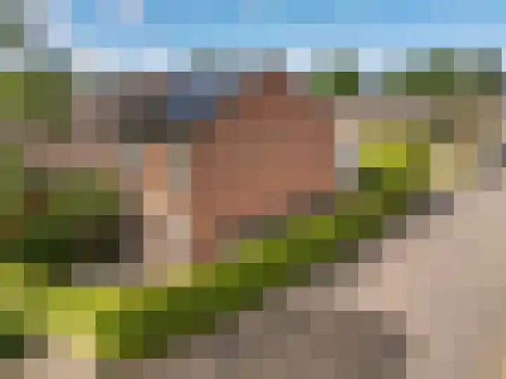 Hofstukken 1 Assen thumbnail 40