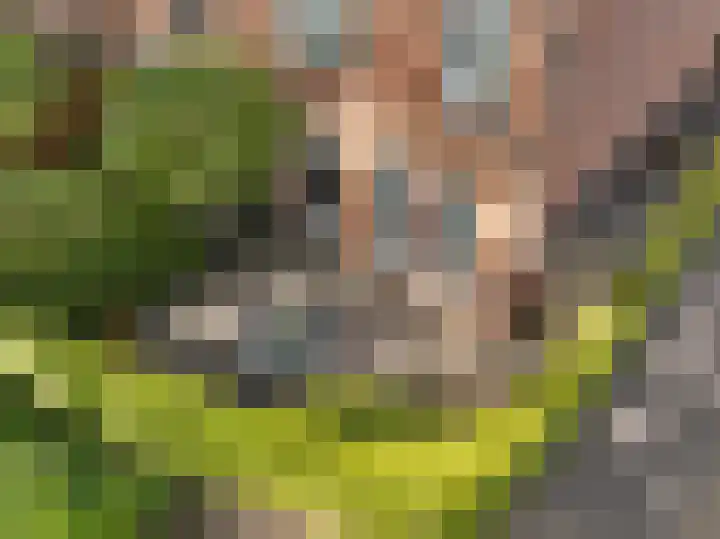 Hofstukken 1 Assen thumbnail 44