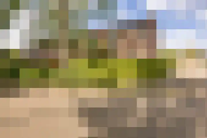 Hofstukken 1 Assen thumbnail 48