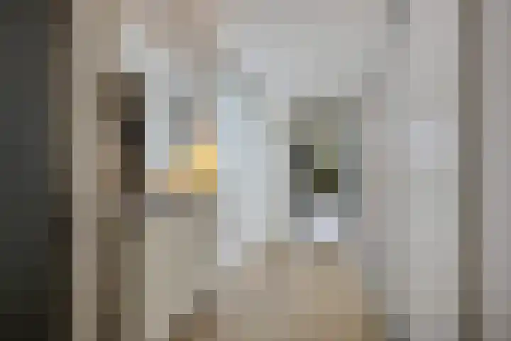 Hofstukken 1 Assen thumbnail 5