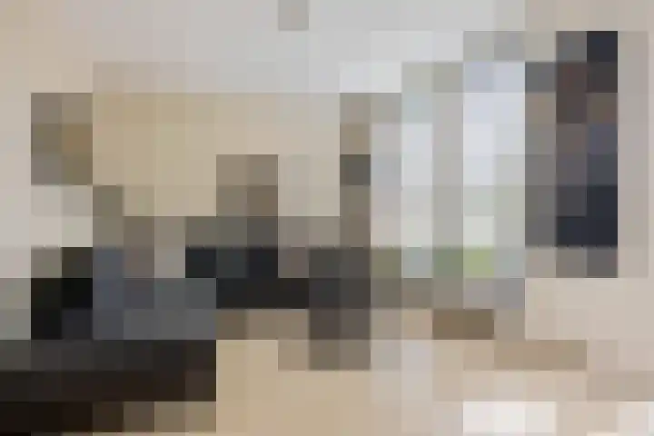 Hofstukken 1 Assen thumbnail 7