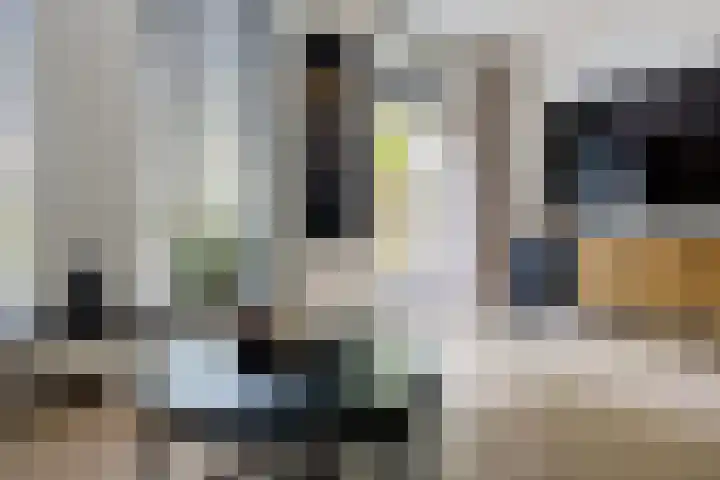 Hofstukken 1 Assen thumbnail 9