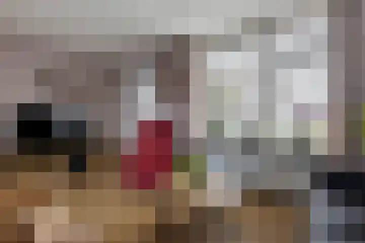 Hofstukken 105 Assen thumbnail 10