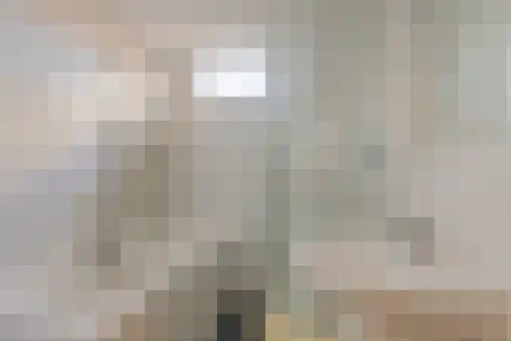 Hofstukken 105 Assen thumbnail 17