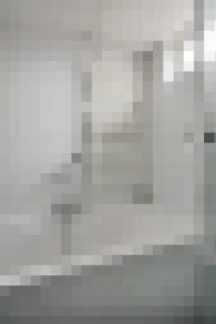 Hofstukken 105 Assen thumbnail 19