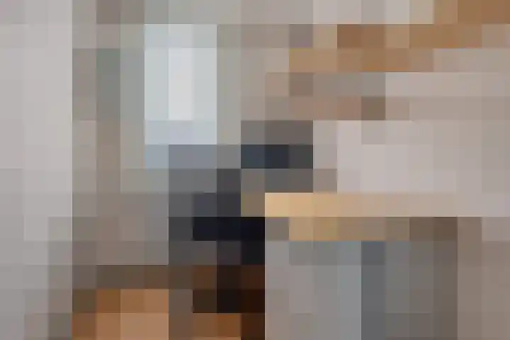 Hofstukken 105 Assen thumbnail 22