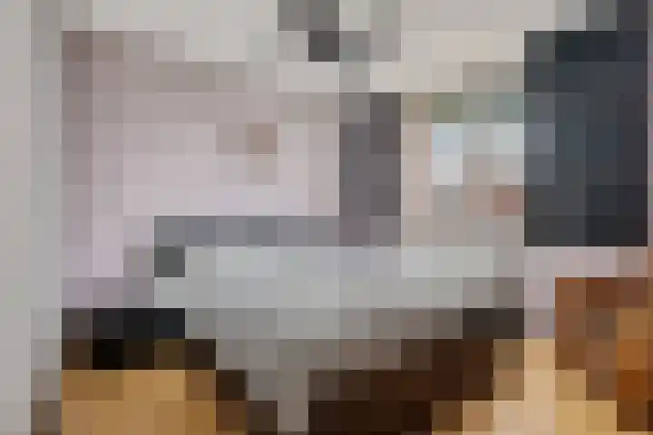 Hofstukken 105 Assen thumbnail 23