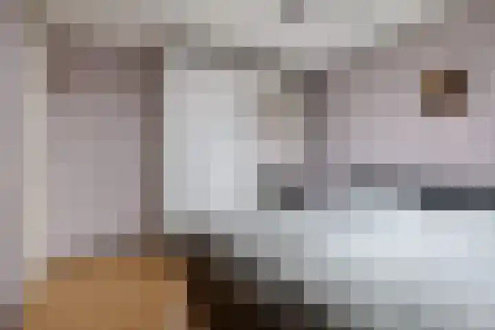 Hofstukken 105 Assen thumbnail 24