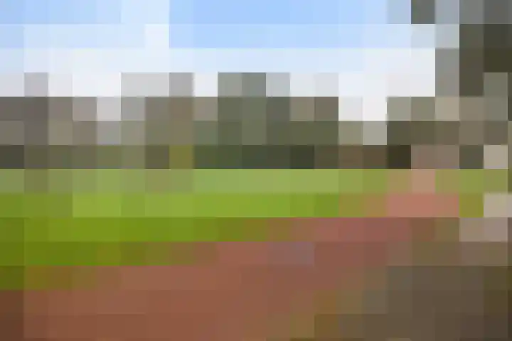 Hofstukken 105 Assen thumbnail 32