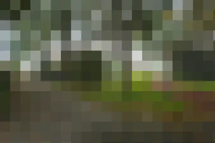 Hofstukken 105 Assen thumbnail 33