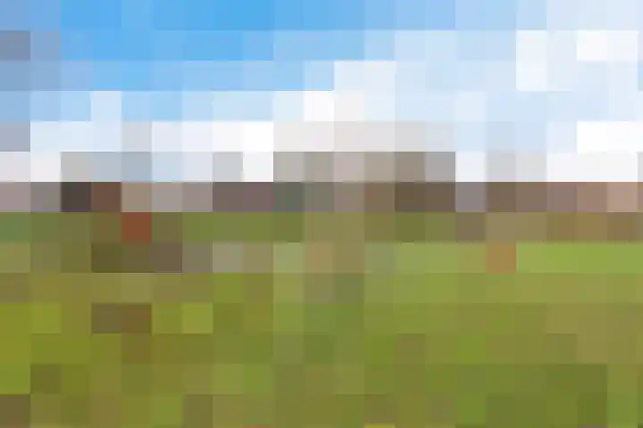 Hofstukken 105 Assen thumbnail 34