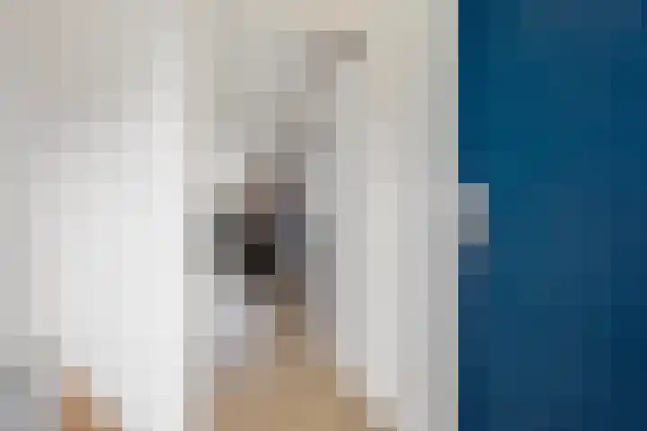 Hofstukken 105 Assen thumbnail 6